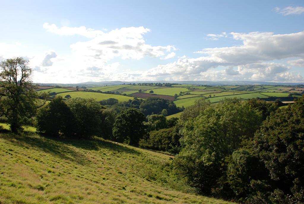 Kerswell Farmhouse Totnes Exteriör bild