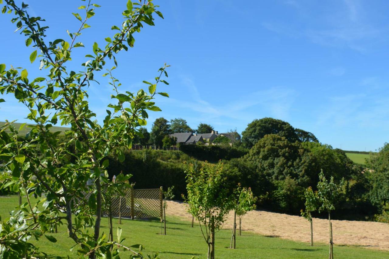 Kerswell Farmhouse Totnes Exteriör bild